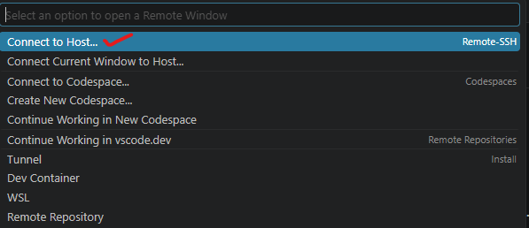 VS Code Remote Host