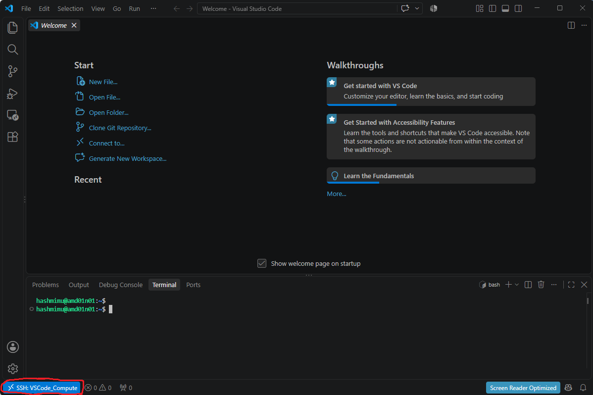 VS Code Remote Host